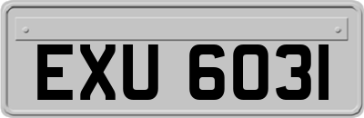 EXU6031