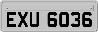 EXU6036