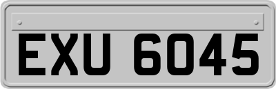 EXU6045