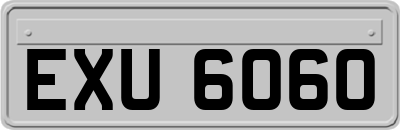 EXU6060