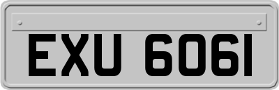 EXU6061