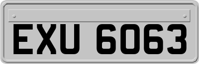 EXU6063