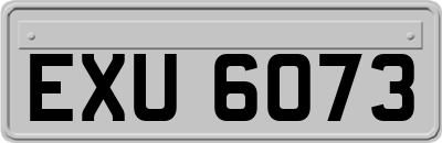 EXU6073