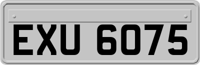 EXU6075