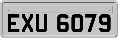 EXU6079