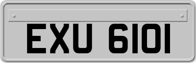 EXU6101