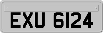 EXU6124