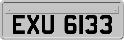 EXU6133