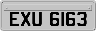 EXU6163