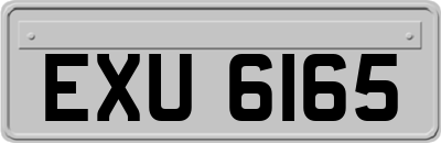 EXU6165
