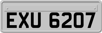 EXU6207