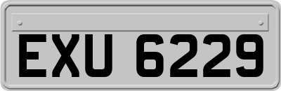 EXU6229