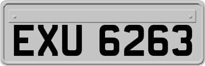 EXU6263