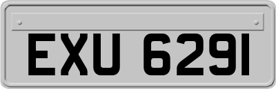 EXU6291
