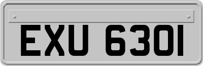 EXU6301