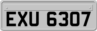 EXU6307