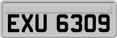 EXU6309