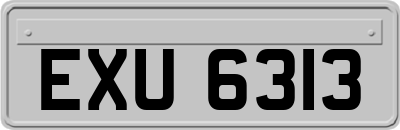 EXU6313