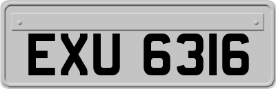 EXU6316