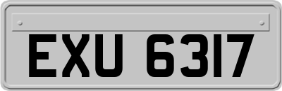 EXU6317