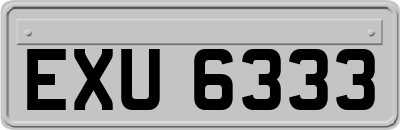 EXU6333