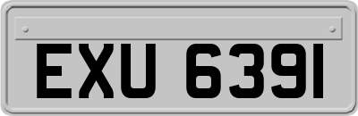 EXU6391