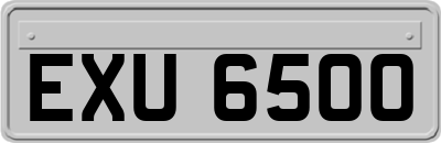 EXU6500