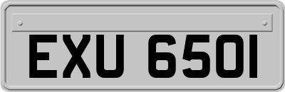 EXU6501