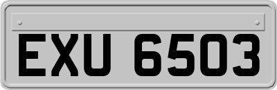 EXU6503