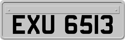 EXU6513