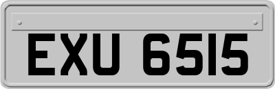 EXU6515