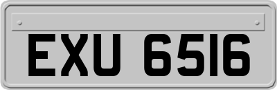EXU6516