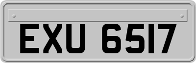 EXU6517