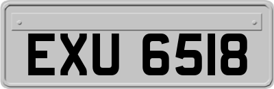 EXU6518
