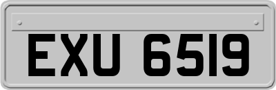 EXU6519