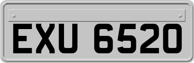 EXU6520