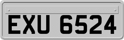 EXU6524