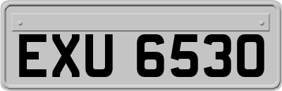 EXU6530
