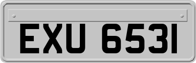 EXU6531