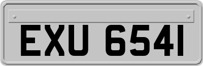EXU6541