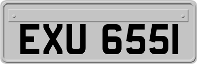 EXU6551