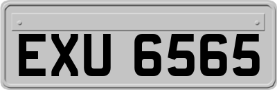EXU6565