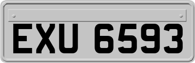 EXU6593
