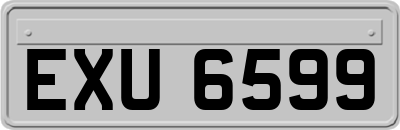 EXU6599