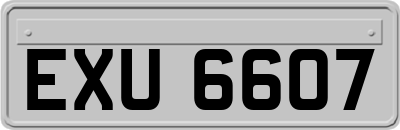 EXU6607