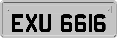 EXU6616