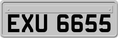 EXU6655