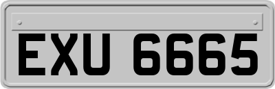 EXU6665
