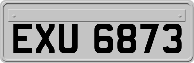 EXU6873