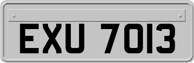 EXU7013